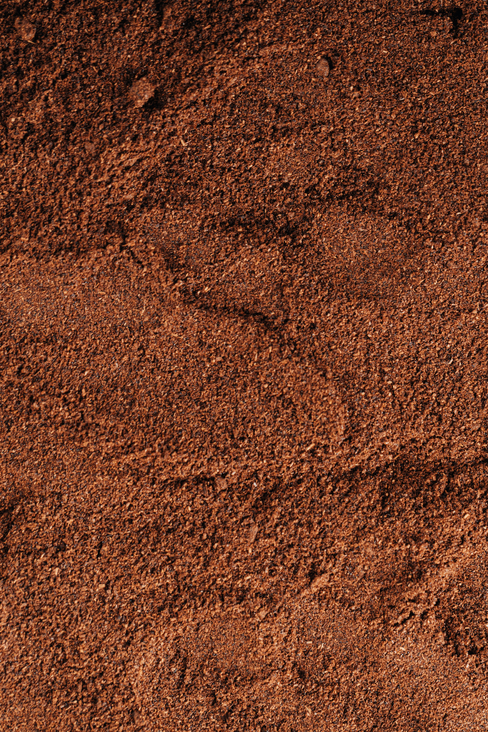 Poudre de vanille