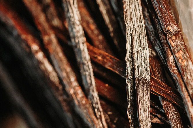 Bâtons de vanille en gros plan